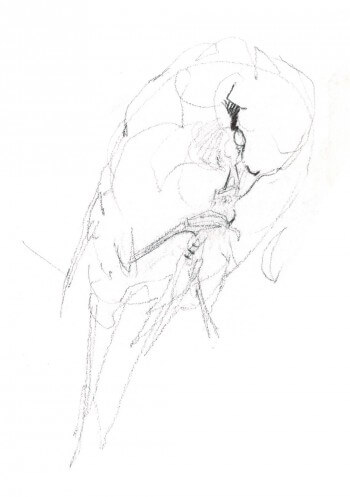 « Pie-grièche écorcheur en traind e décortiquer un criquet (chorthippus) / © Benoît Perrotin