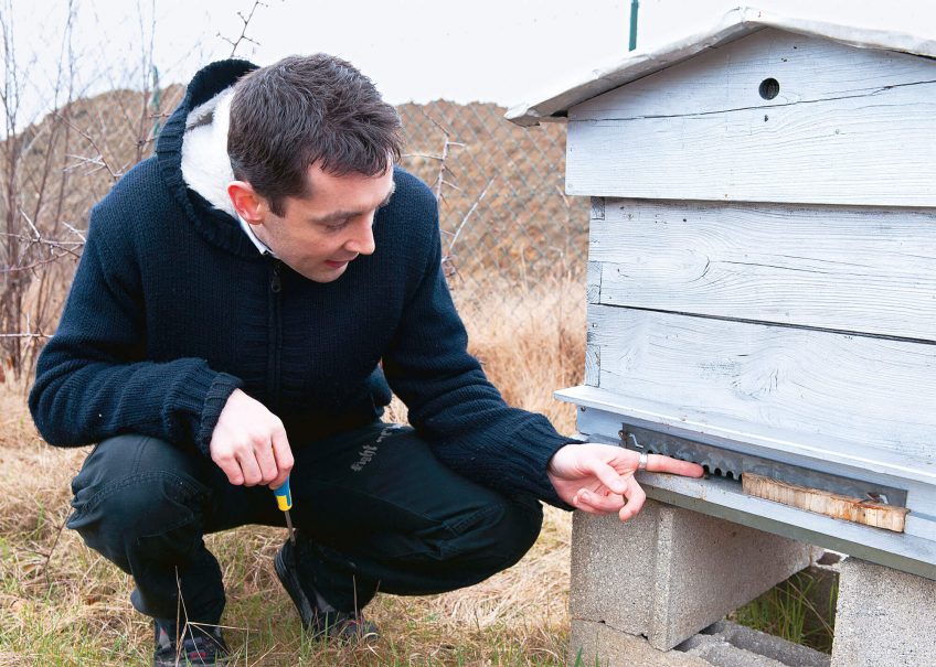 Michaël Falkowski, amoureux des mauvaises herbes