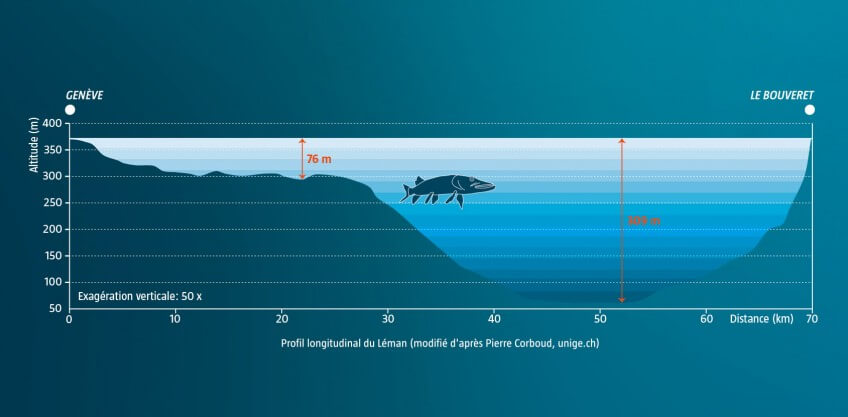 Profil longitudinale du Léman (modifié d'après Pierre Corboud, unige.ch)