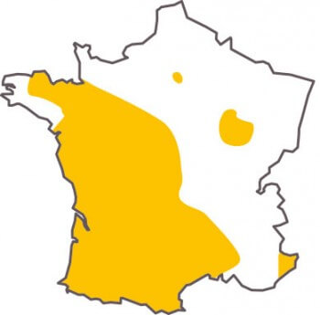 Répartition du frelon asiatique en 2011