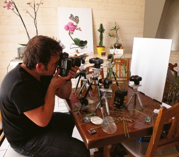 Stéphane Hette Photo de papillons de Stephane Hette