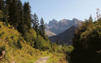 Sur la route menant à la crête de Berroi, sur les pas des contrebandiers.