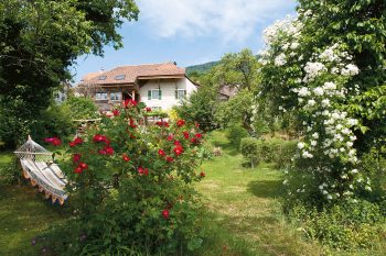 Un jardin abritant des rosiers
