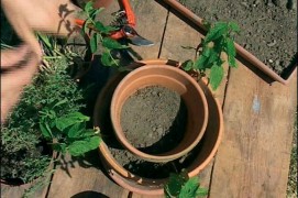 Installez le deuxième pot en l’enfonçant bien à moitié dans la terre du premier et en complétant avec de la terre tout autour.