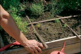 Remplissez votre bac aux ¾ avec le mélange de terre et de terreau. Puis, avec les branches droites, cloisonnez l'espace en 9 petits carrés de taille identique. Choisissez les espèces d’aromates que vous allez y faire pousser, en prévoyant la bonne place pour chacun…
Les envahissantes, comme la menthe ou la ciboulette, seront placées dans des cases du bord, les grandes, comme le fenouil ou la coriandre, iront dans la case du centre. Enfin les gourmandes de soleil, comme le thym, la lavande ou la sauge trouveront leur place dans les cases exposées au sud.