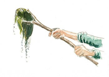 Un troubleau pour capturer quelques habitants de la mare. La mare de A à Z