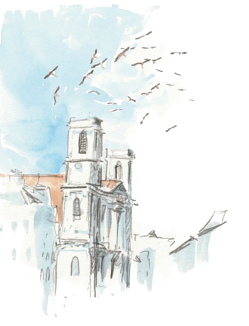 Des cigognes dans la ville de Besançon