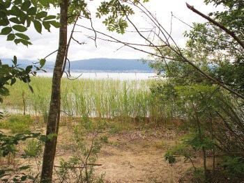 Vue sur le lac de Neuchâtel depuis la Grande Cariçaie / © Benoît Renevey