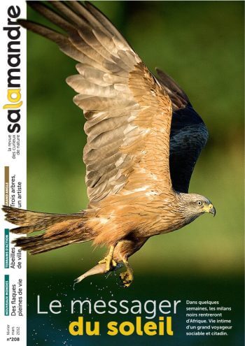 Couverture de La Salamandre n°208