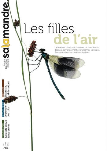Couverture de La Salamandre n°210
