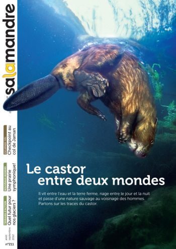 Couverture de La Salamandre n°211