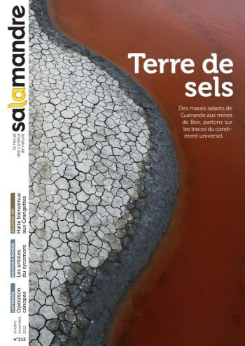 Couverture de La Salamandre n°212