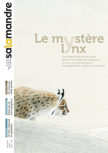 Couverture de La Salamandre n°213