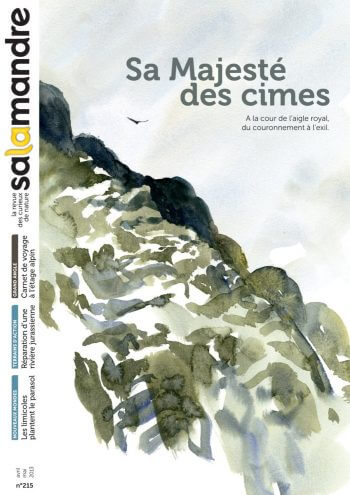 Couverture de La Salamandre n°215