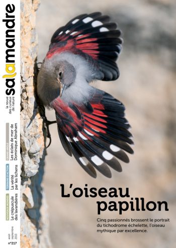 Couverture de La Salamandre n°217