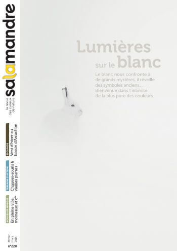 Couverture de La Salamandre n°220