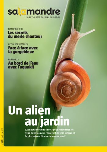 Couverture de La Salamandre n°221