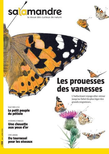 Couverture de La Salamandre n°222