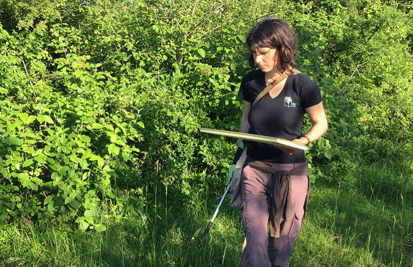 Magalie Mazuy fan de punaises