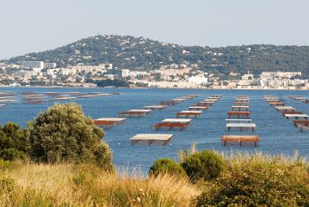 Bouzigues - Tables de conchyliculture