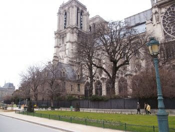 Cathédrale Notre-Dame de Paris / © Fleur Daugey