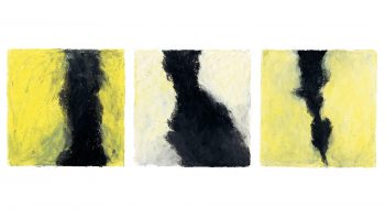 Chez les mésanges charbonnières, la femelle regarde beaucoup la cravate des prétendants. Une cravate marquée est gage de vigueur. Chez les mésanges charbonnières, la femelle regarde beaucoup la cravate des prétendants. Une cravate marquée est gage de vigueur.