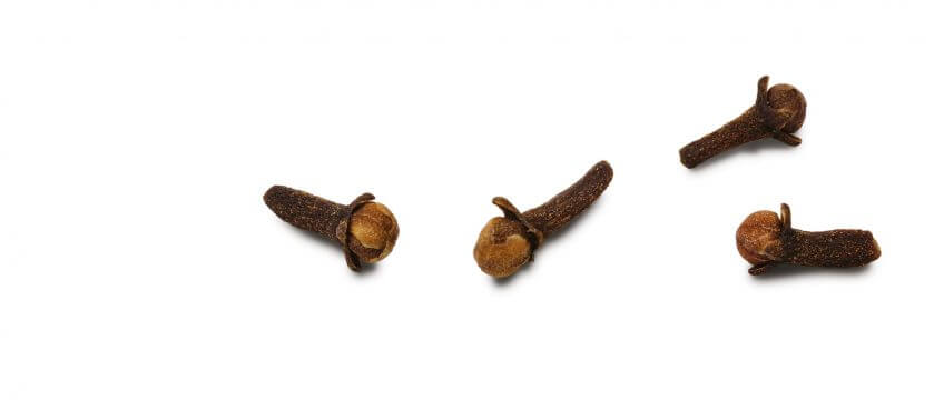 Clous de girofle Molécules élémentaires d'odeurs