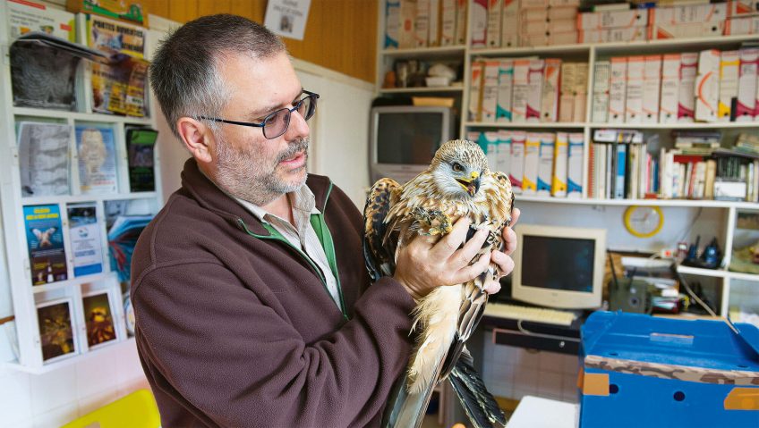 Engagé pour les animaux sauvages blessés