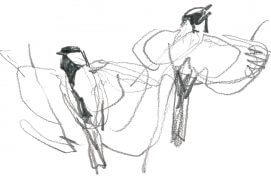 « Au détour d’un bosquet, deux mâles viennent voleter non loin de moi. Ils se tiennent droit pour exhiber leur cravate. Probablement deux individus en limite de territoire, en pleine parade d’intimidation. » / © Denis Clavreul