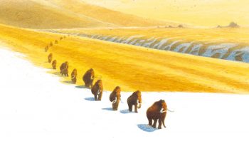 En automne, de nombreux mammouths migraient vers le sud, non pour échapper au froid mais à la pénurie de nourriture. Certains individus devaient rester sur place et résister grâce à leurs importantes réserves de graisse. En automne, de nombreux mammouths migraient vers le sud, non pour échapper au froid mais à la pénurie de nourriture. Certains individus devaient rester sur place et résister grâce à leurs importantes réserves de graisse.