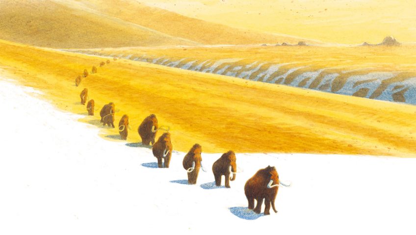 Les mammouths sur la route du Sud