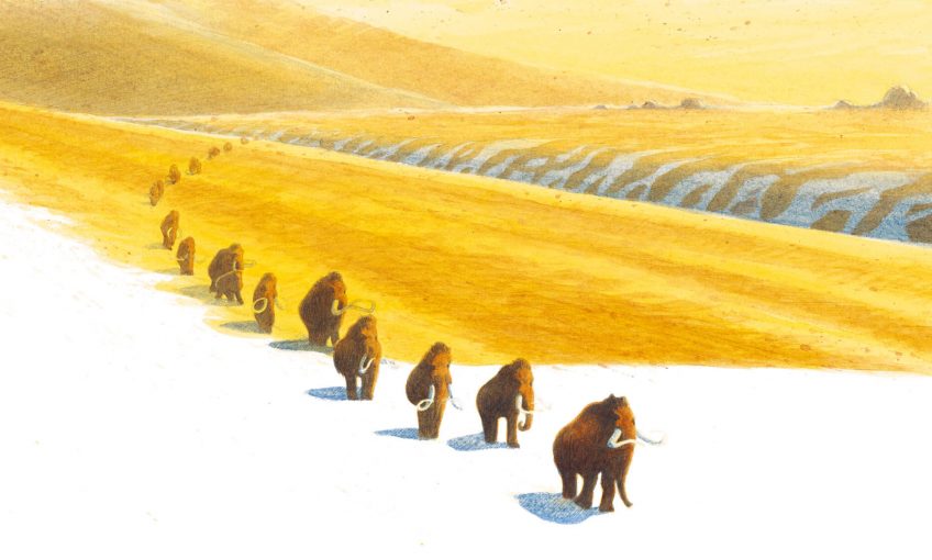 En automne, de nombreux mammouths migraient vers le sud, non pour échapper au froid mais à la pénurie de nourriture. Certains individus devaient rester sur place et résister grâce à leurs importantes réserves de graisse. Les mammouths sur la route du Sud