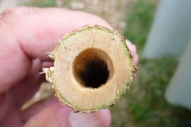 Vérifiez que l’intérieur est bien nettoyé. Cette opération est importante pour que la boule glisse bien.
