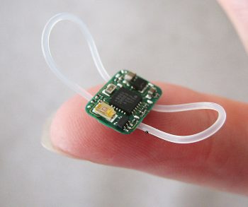 Géolocalisateur ultra-léger utilisé pour le suivi de certains passeraeaux légers WikiLeaks ornithologiques