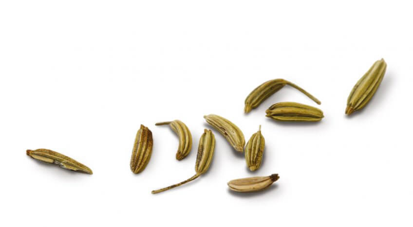 Graines d'anis Molécules élémentaires d'odeurs