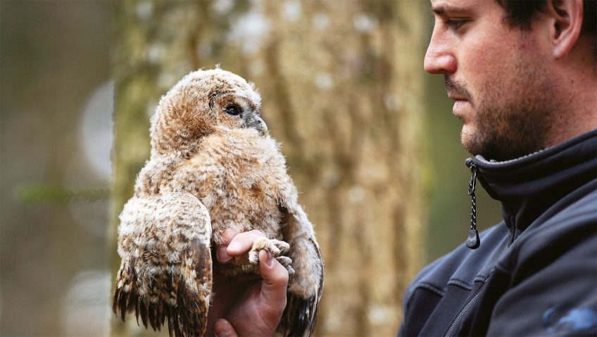 Opération chouettes: c'est dans la boîte !