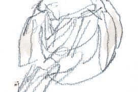 Jeune mésange charbonnière / © Denis Clavreul