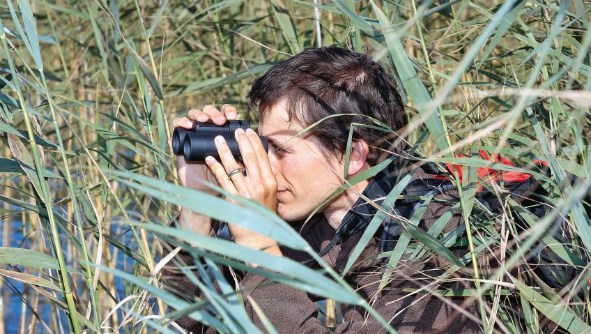 Combien vaut un butor ? Monétarisation de la nature