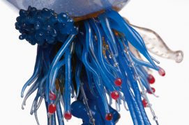 La baroudeuse: Cette superbe physalie, que l'on appelle aussi galère portugaise, fait partie du neuston, la catégorie des organismes aquatiques flottant à la surface de l'eau. Bien que vivant dans les mers tropicales, il lui arrive de dériver jusque vers
les côtes européennes, où l'on assiste certaines années à des échouages massifs. / © Heidi & Hans-Jürgen Koch