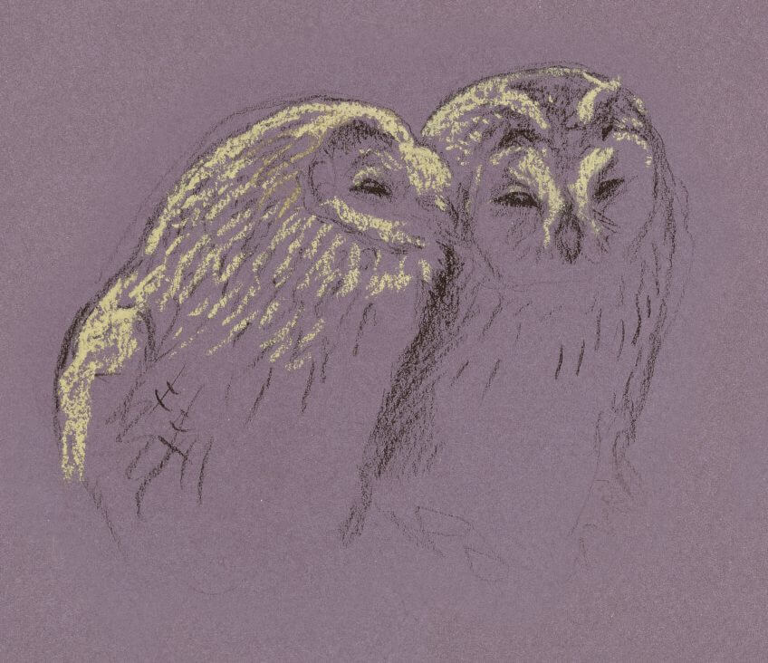 Papouilles et sérénades chez les hulottes