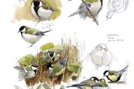 La planche complète de Denis Clavreul: «Dans un parc à Nantes. Les jeunes sont fraîchement sortis du nid et restent collés à leurs parents.» / © Denis Clavreul