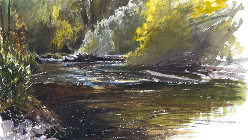 La rivière dessinée par Laurent Willenegger