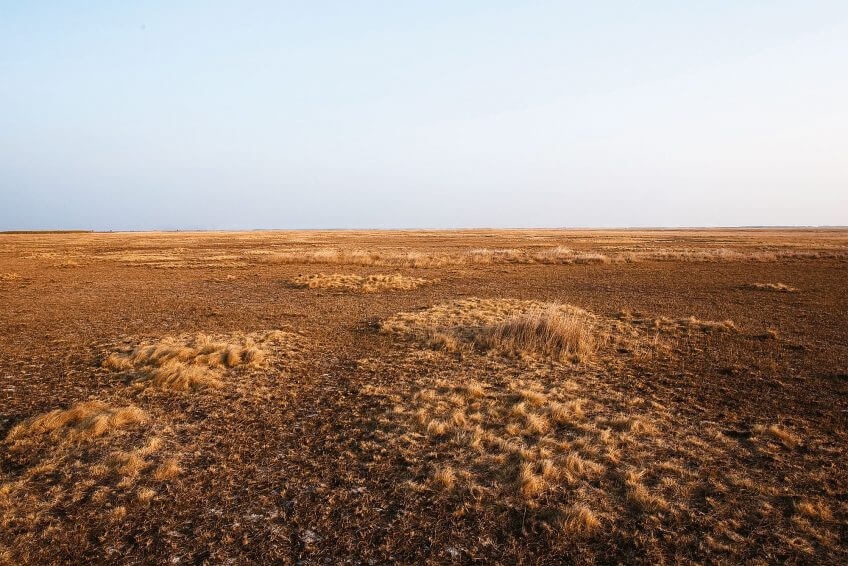 La steppe de Hongrie ou d'Asie centrale donne une idée de ce à quoi pouvait ressembler l'univers des mammouths. Mais ces steppes contemporaines sont plus chaudes et leur flore est moins riche. La fin des mammouths sous le dégel