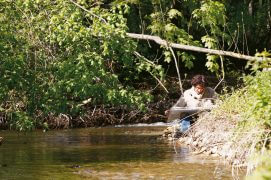 Laurent Willenegger peins les remous du cincle. / © Gilbert Hayoz
