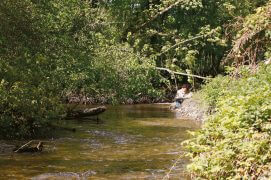 Laurent Willenegger peins les remous du cincle. / © Gilbert Hayoz