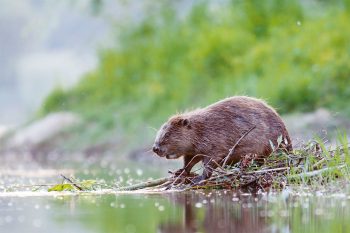 Balade le long de la Drôme