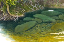 L'eau claire de cette rivière calme révèle son fond caillouteux. / © Jérôme Gremaud