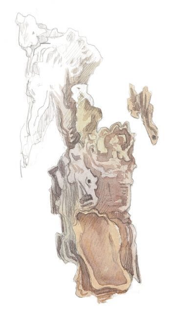 «L'écorce de l'épicéa est rugueuse, tortueuse, et offre une richesse infinie de formes. Couvre le tronc jusqu'à la cîme: une armure efficace.» Observer les habitants de l'épicéa