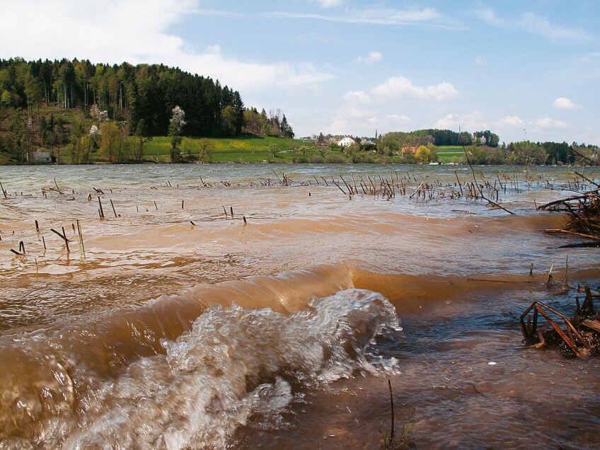 Les eaux eutrophes du lac de Bret nécessitent un traitement poussé pour les rendre potables. Balade au Mont-Pèlerin aux côtés des milans