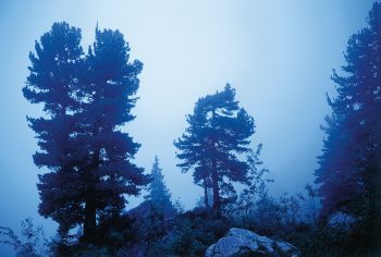 Les Gastlosen sont parfois voilées par le brouillard... / © Michel Roggo